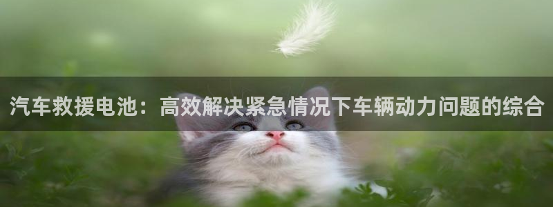 优发国际注册平台是什么