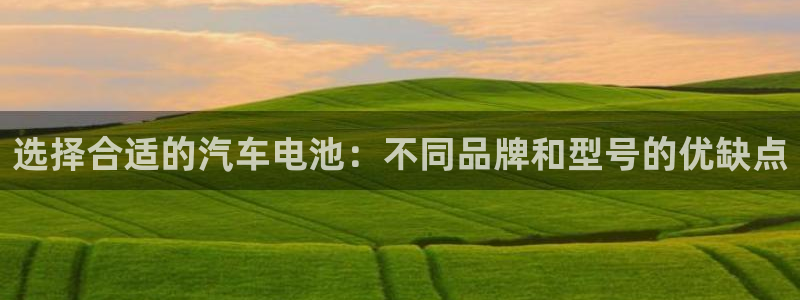 优发国际官网手机版代理