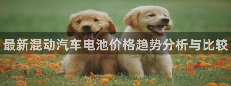 优发国际怎么样