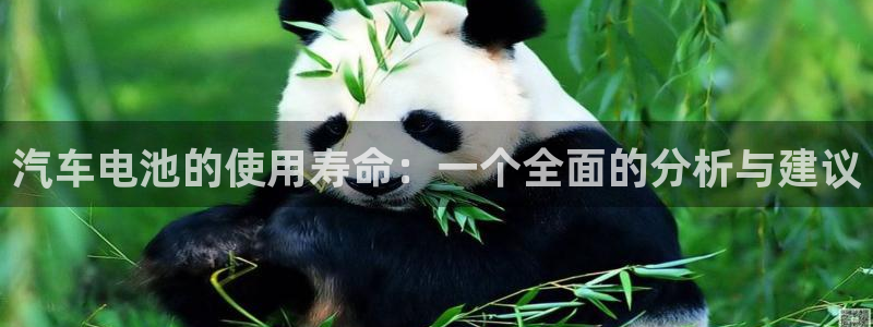 优发国际首页官网