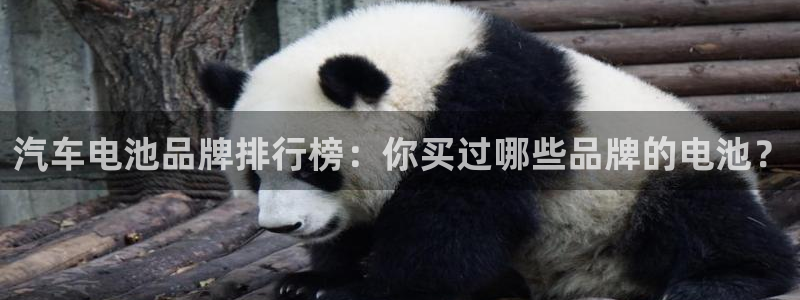 优发国际平台APP