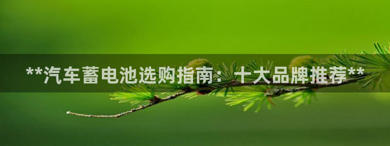 优发国际这个平台怎么样啊