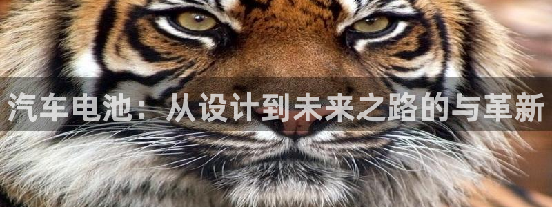 优发国际官网登录：汽车电池：从设计到未来之路的与革新