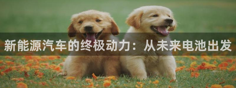 优发国际注册平台是什么