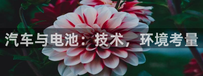 优发国际客服联系方式电话：汽车与电池：技术，环境考量