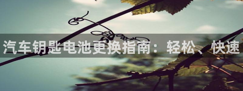 优发国际平台手机版下载安装：汽车钥匙电池更换指南：轻松、快速