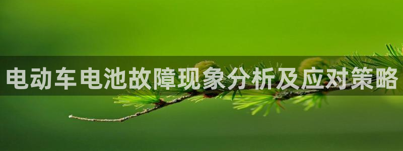 优发国际安卓版下载安装苹果：电动车电池故障现象分析及应对策略