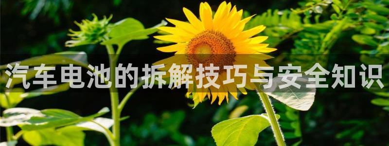 优发国际是大平台吗知乎