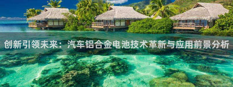 优发国际平台18：创新引领未来：汽车铝合金电池技术革新与应用前景分析