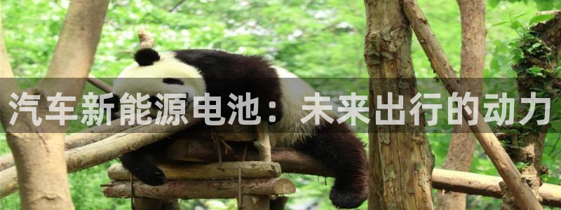 优发国际 干什么的：汽车新能源电池：未来